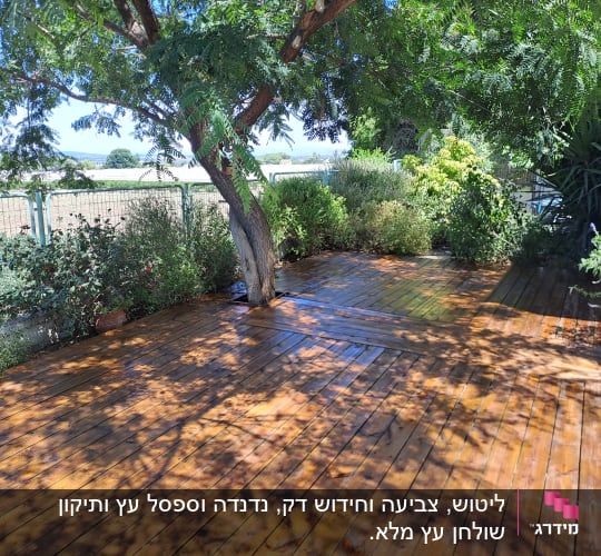 דק עץ בגינה עם צל עצים וצמחייה מסביב